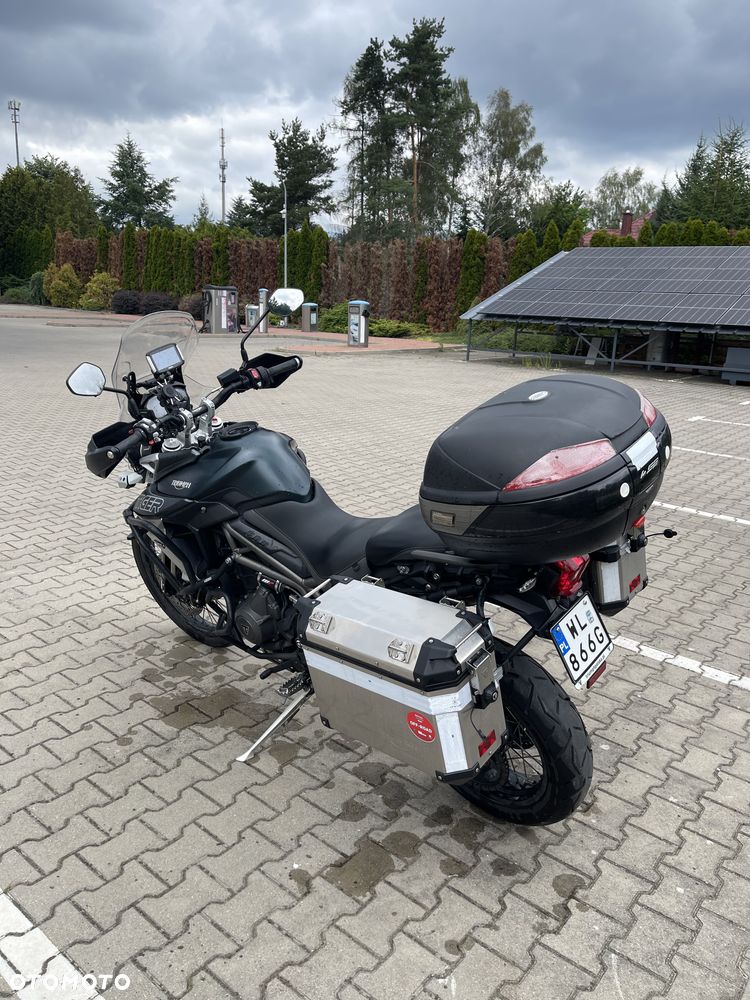 Triumph Tiger - 22