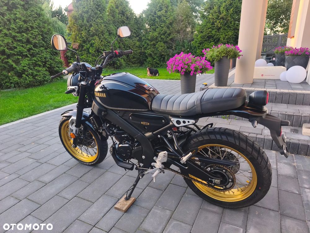 Yamaha XSR - 5
