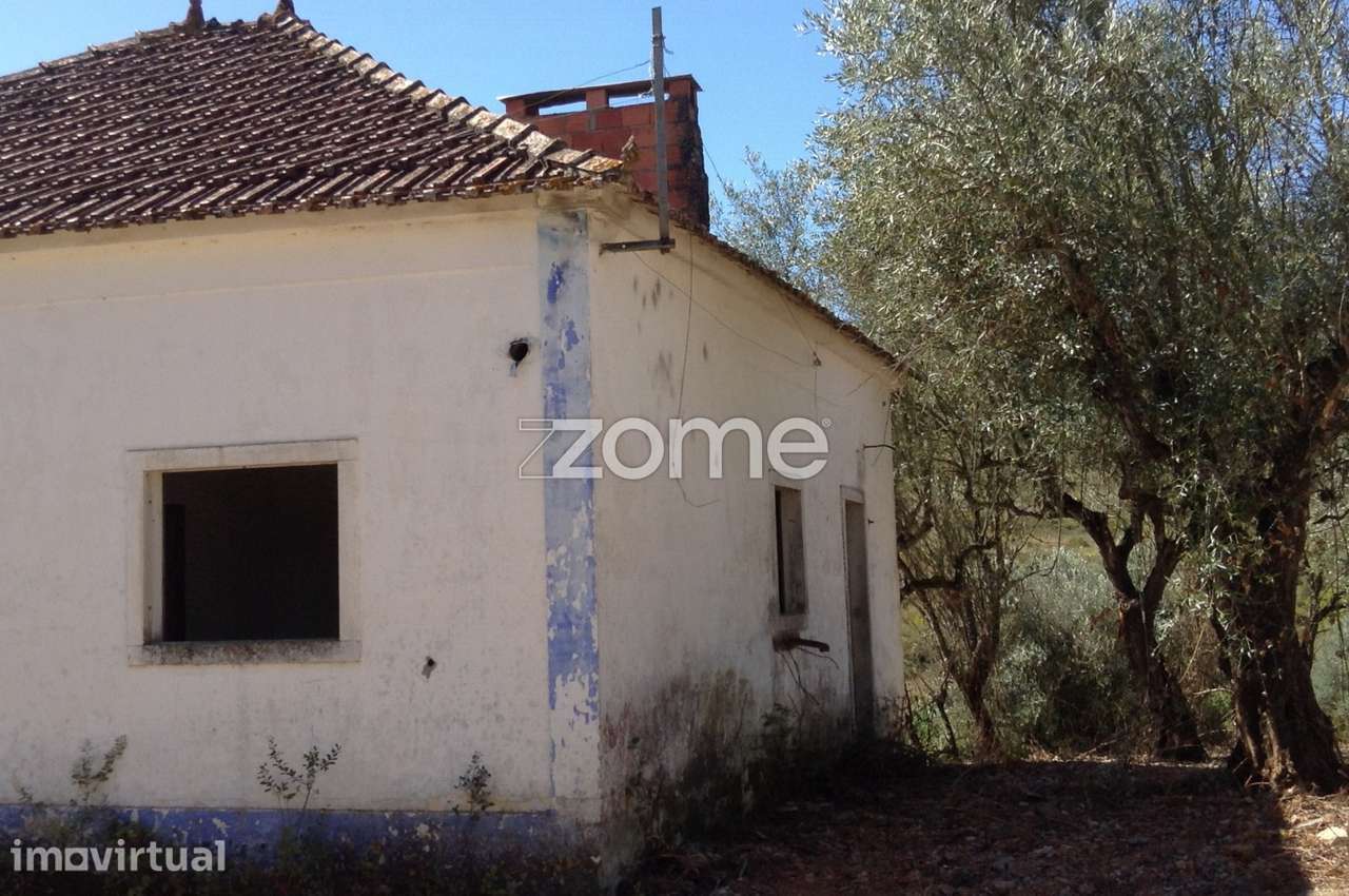 Quinta 19 hectares Rio Maior, Santarém - Grande imagem: 5/31