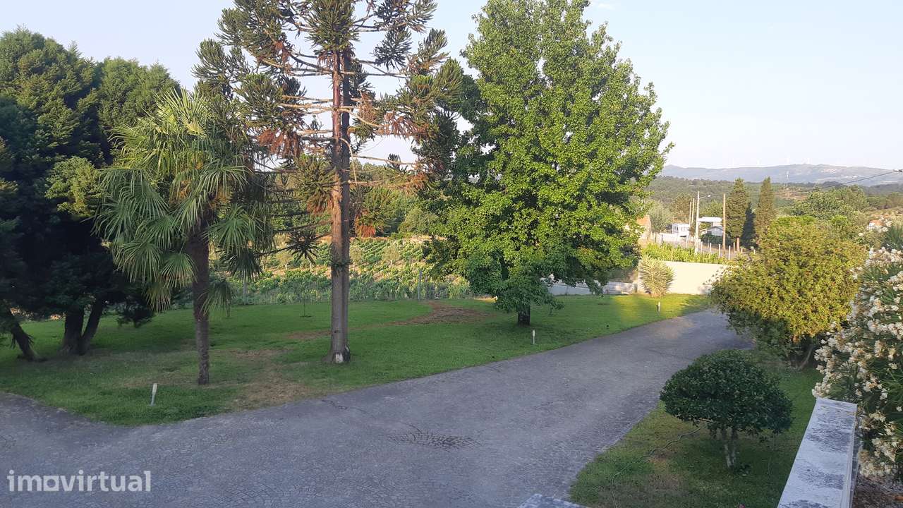 Quinta Vinícola do Dão - Grande imagem: 2/27