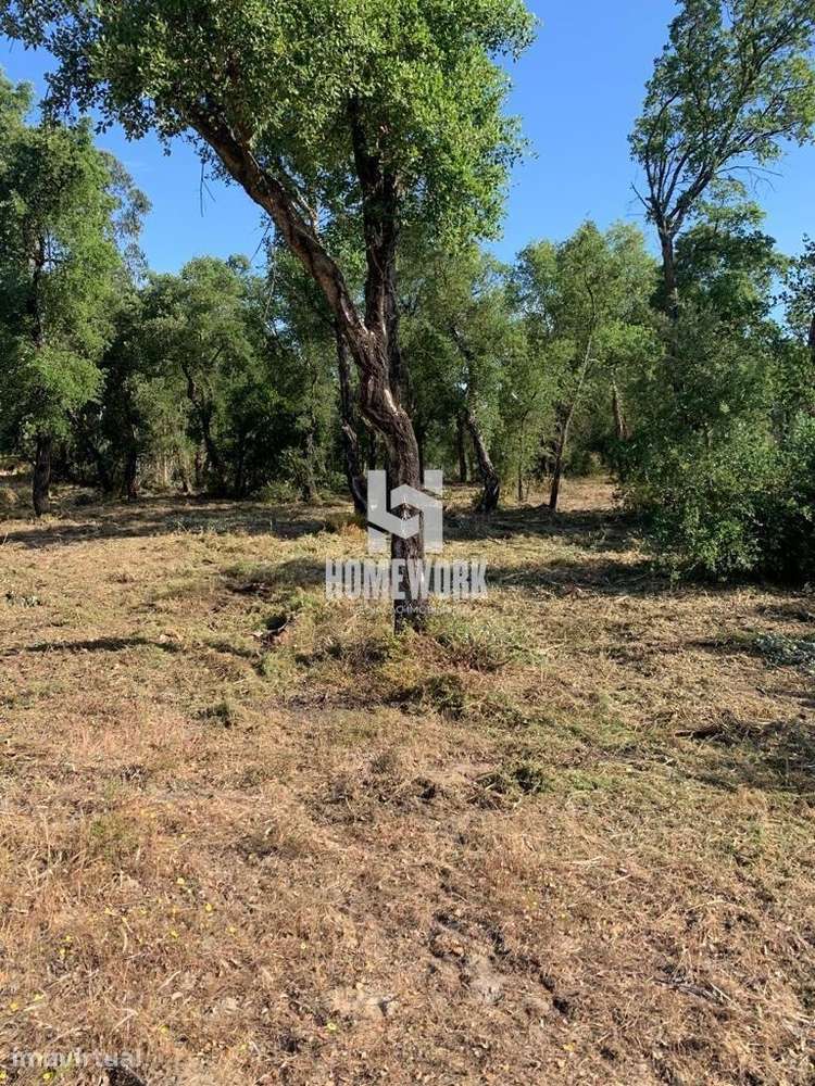 Lote de Terreno urbano – Palmela - Grande imagem: 5/9