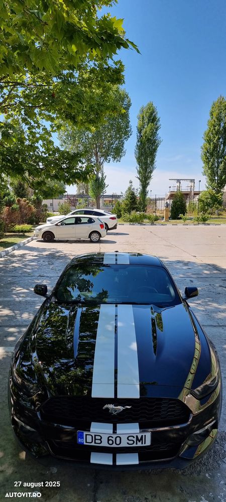 Ford Mustang 2.3 Eco Boost Aut. - 13