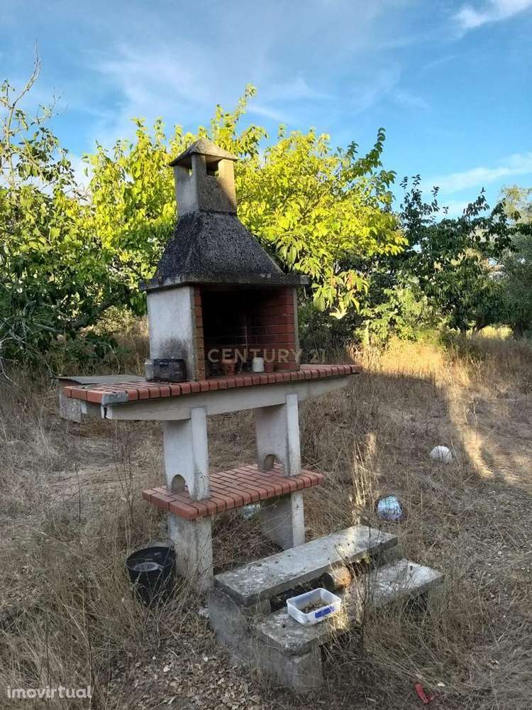 QUINTA MISTA EM ERRA, CORUCHE - Grande imagem: 3/41