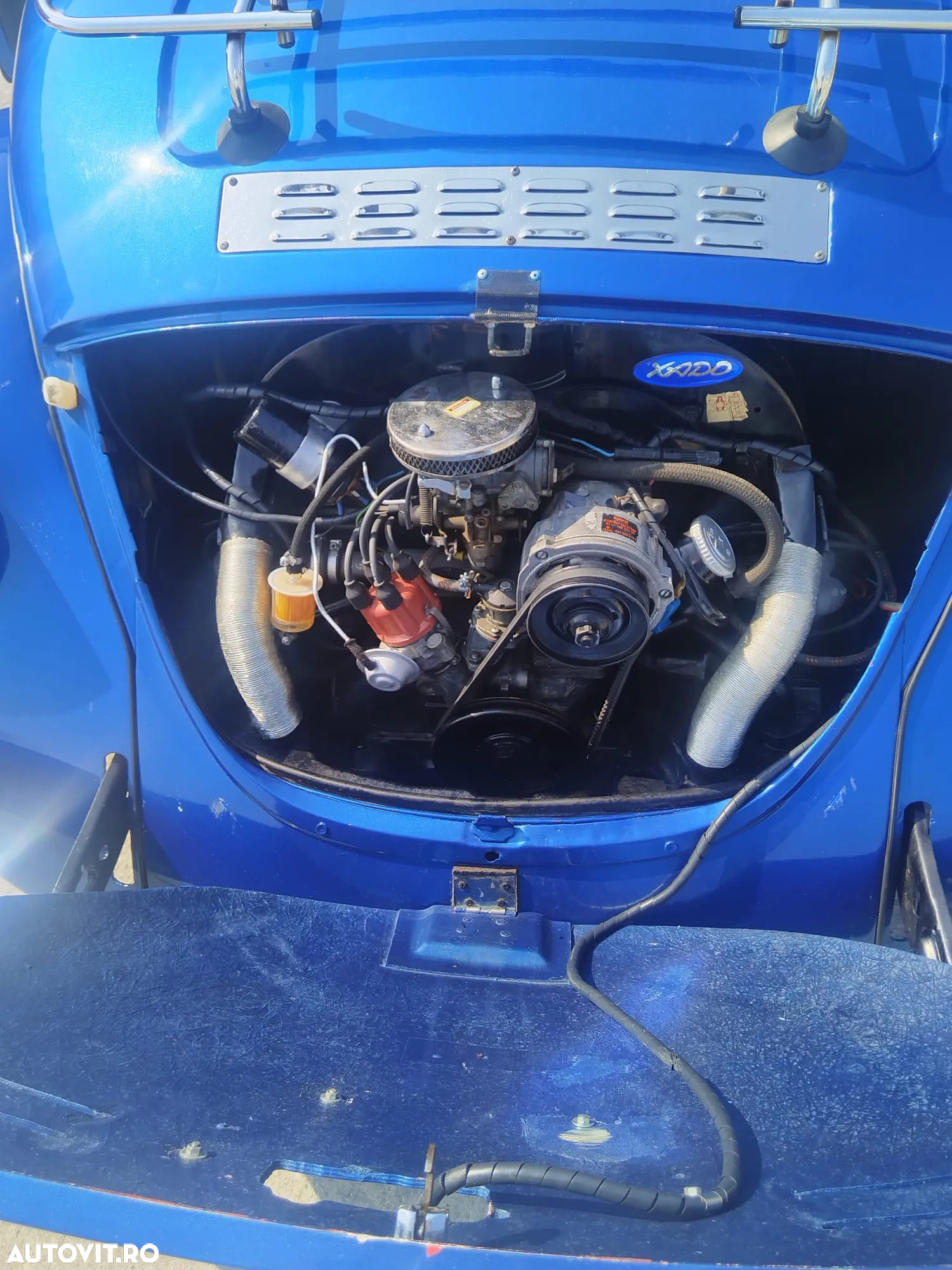 Volkswagen Beetle - 10