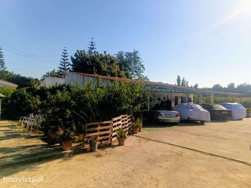 Quinta com 12000 m2 na Quinta do Anjo - venda a pronto pagamento - Grande imagem: 3/8