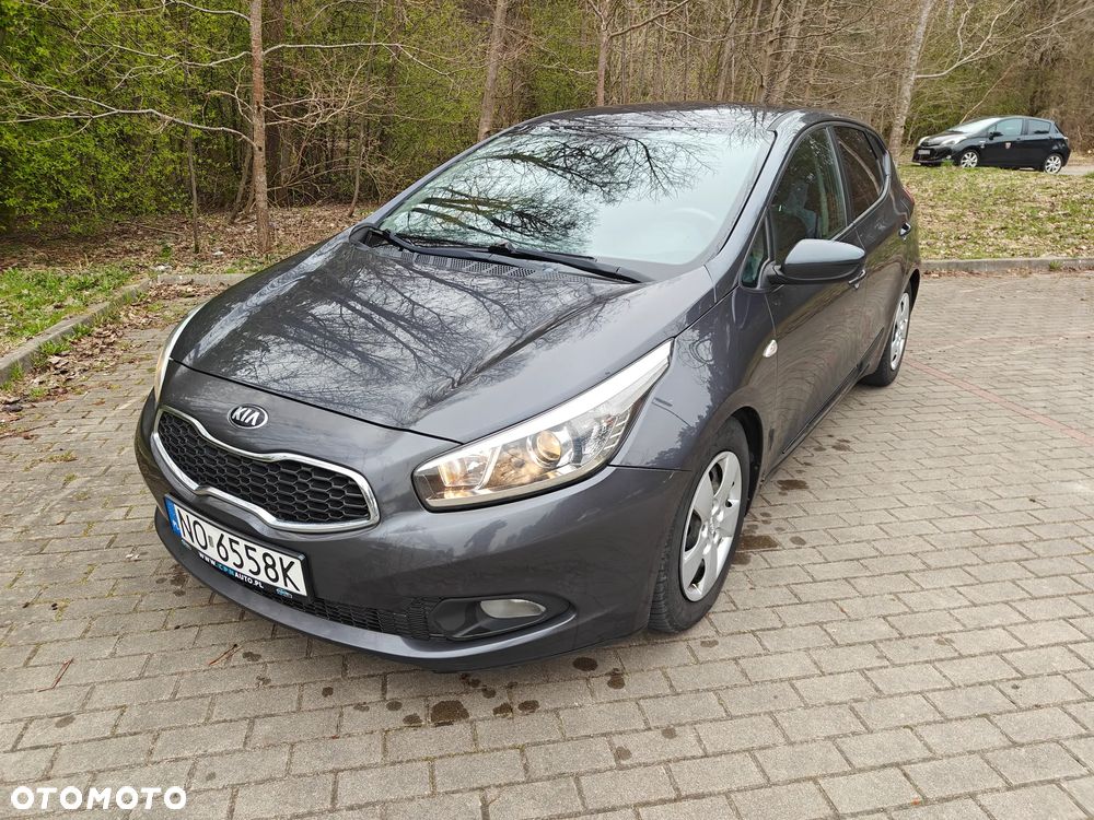 Kia Ceed - 1