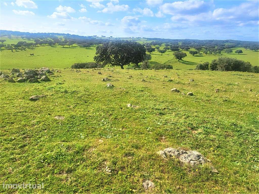 Herdade com108 ha e Monte para reconstruir Com 245 m2 - Grande imagem: 3/35