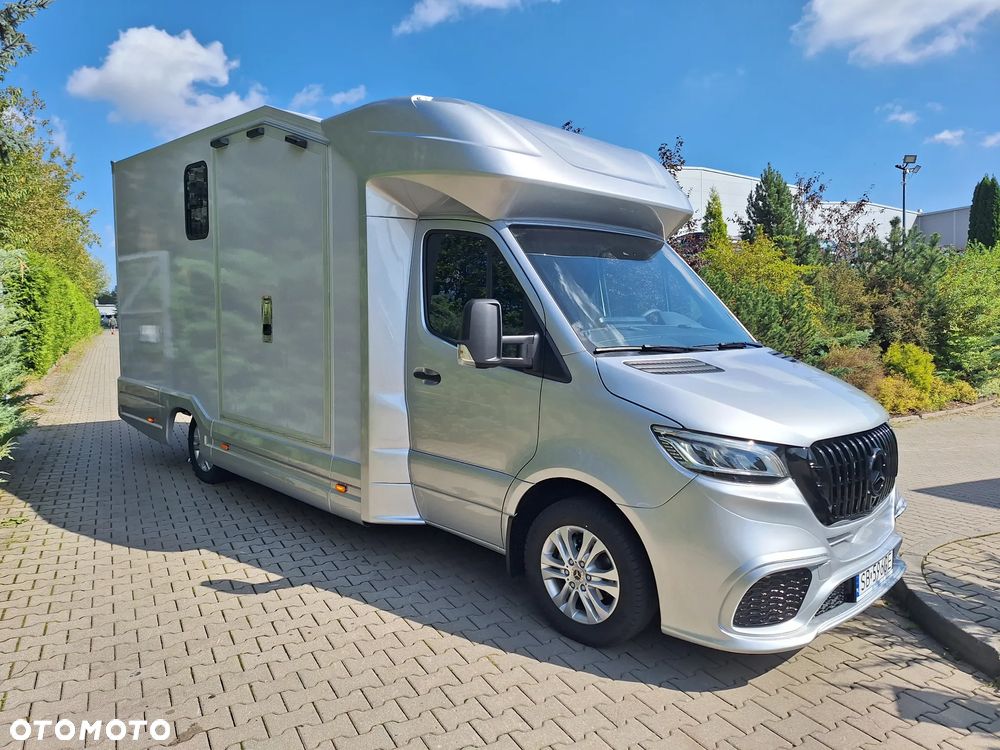 Mercedes-Benz Sprinter 319 - 10