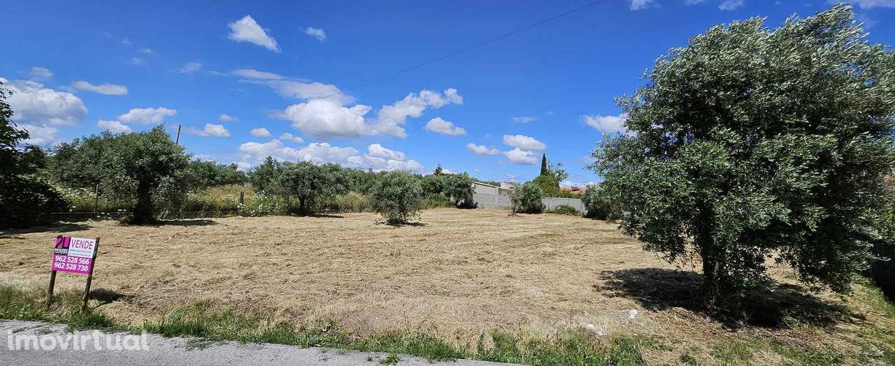 Terreno para Construção - T3019/24 - Grande imagem: 4/5