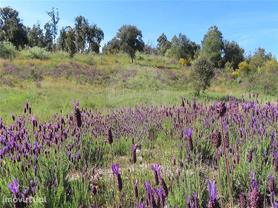 Quinta  para venda - Grande imagem: 4/43