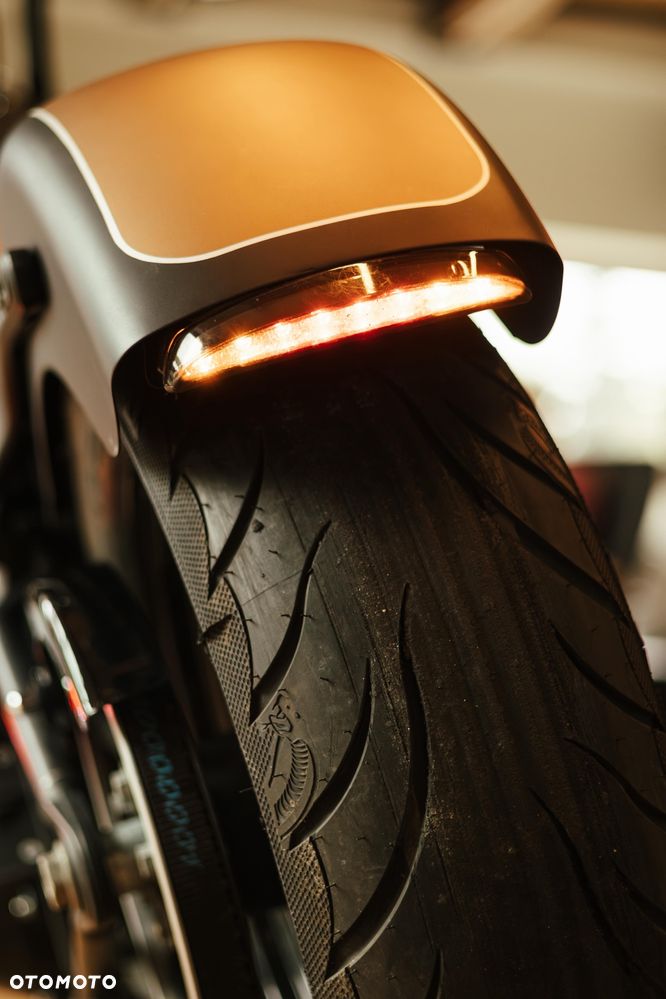 Harley-Davidson Softail Blackline - 13