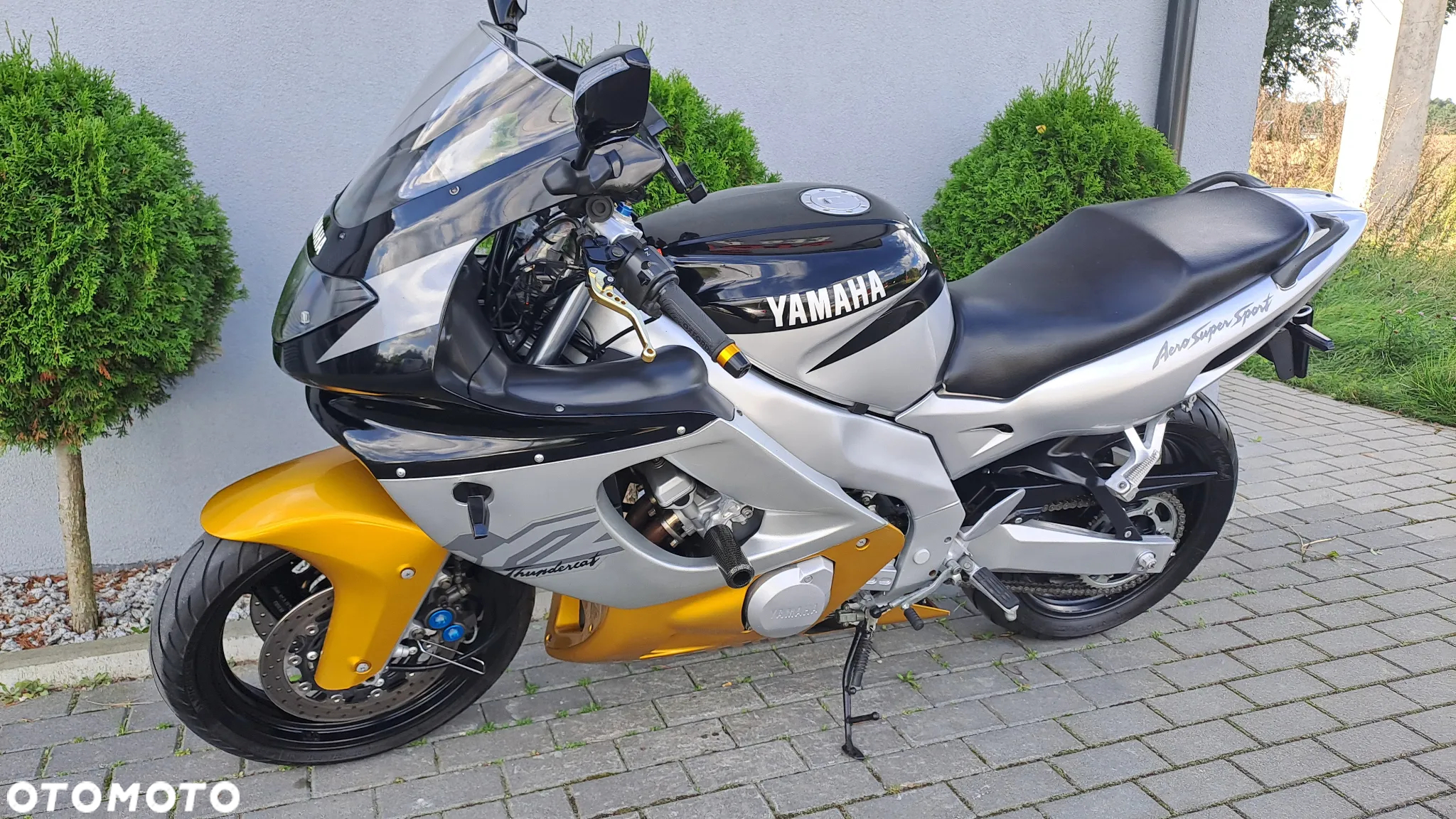 Yamaha Thundercat - 6