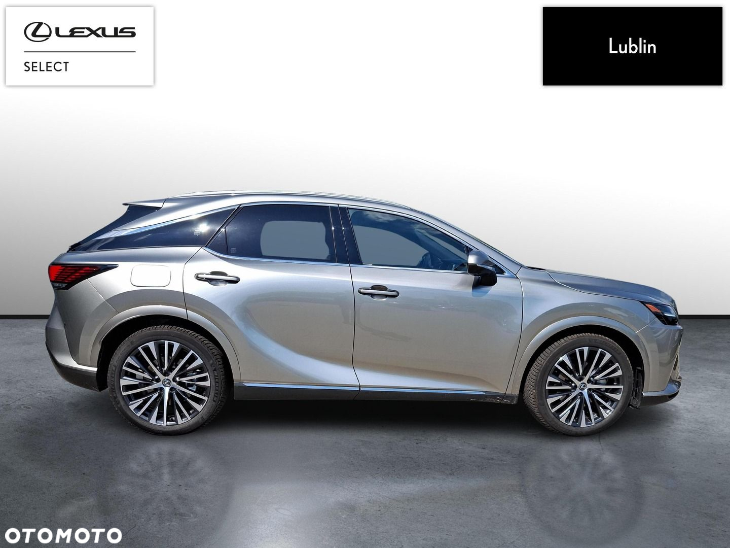 Lexus RX - 6