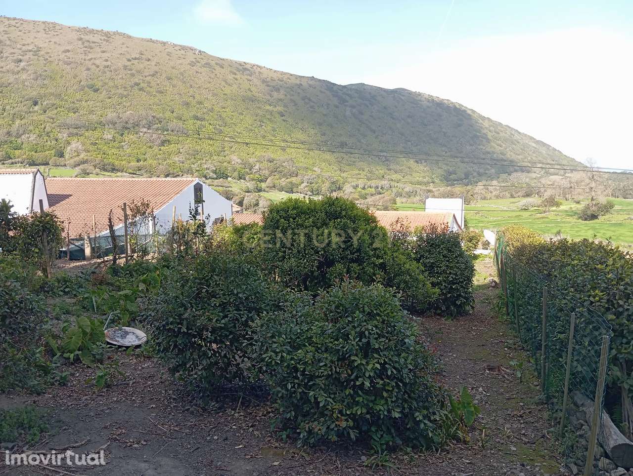 Terreno com Vista Campestre em Guadalupe, Graciosa - Grande imagem: 3/4