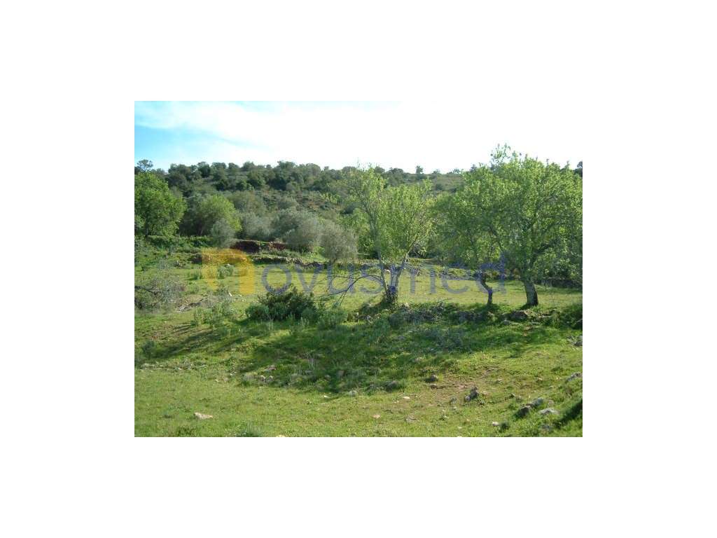 Terreno Rústico com Ruína em São Bartolomeu de Messines - Grande imagem: 4/27