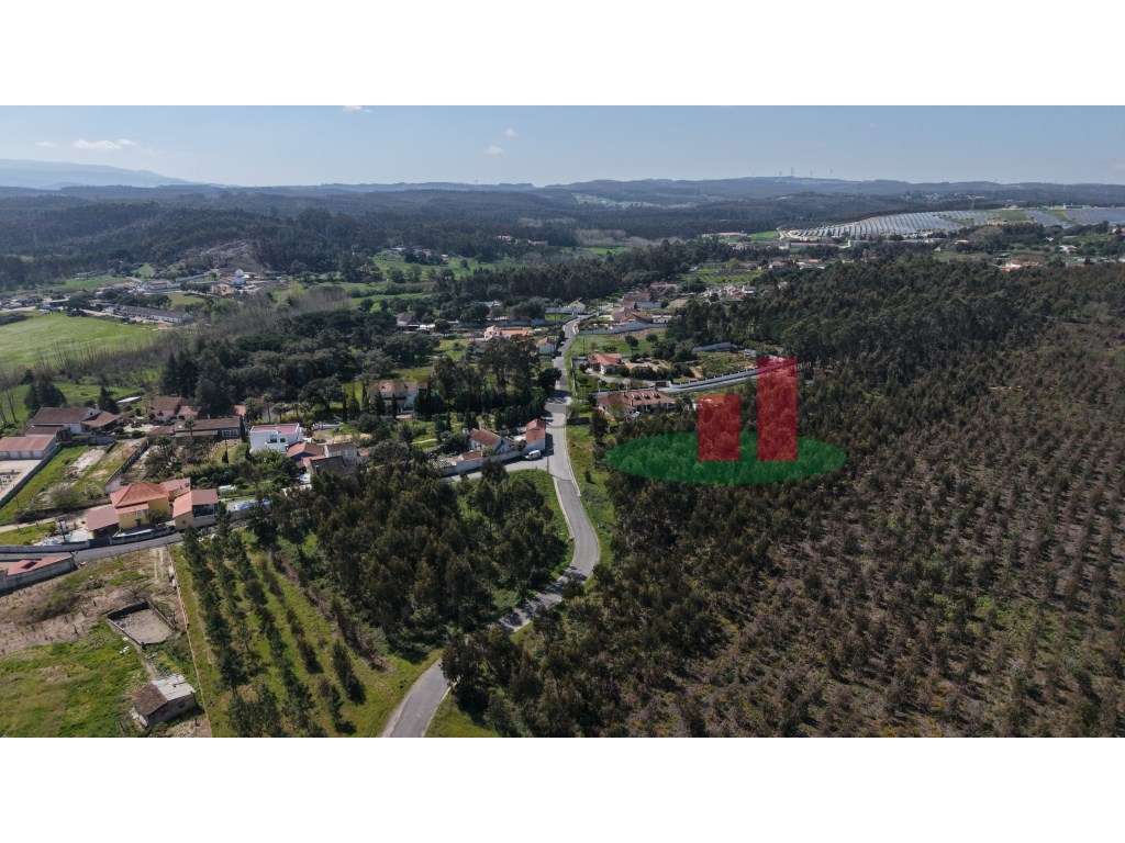 Terreno rústico Asseiceira***RIOMAGIC*** - Grande imagem: 3/20