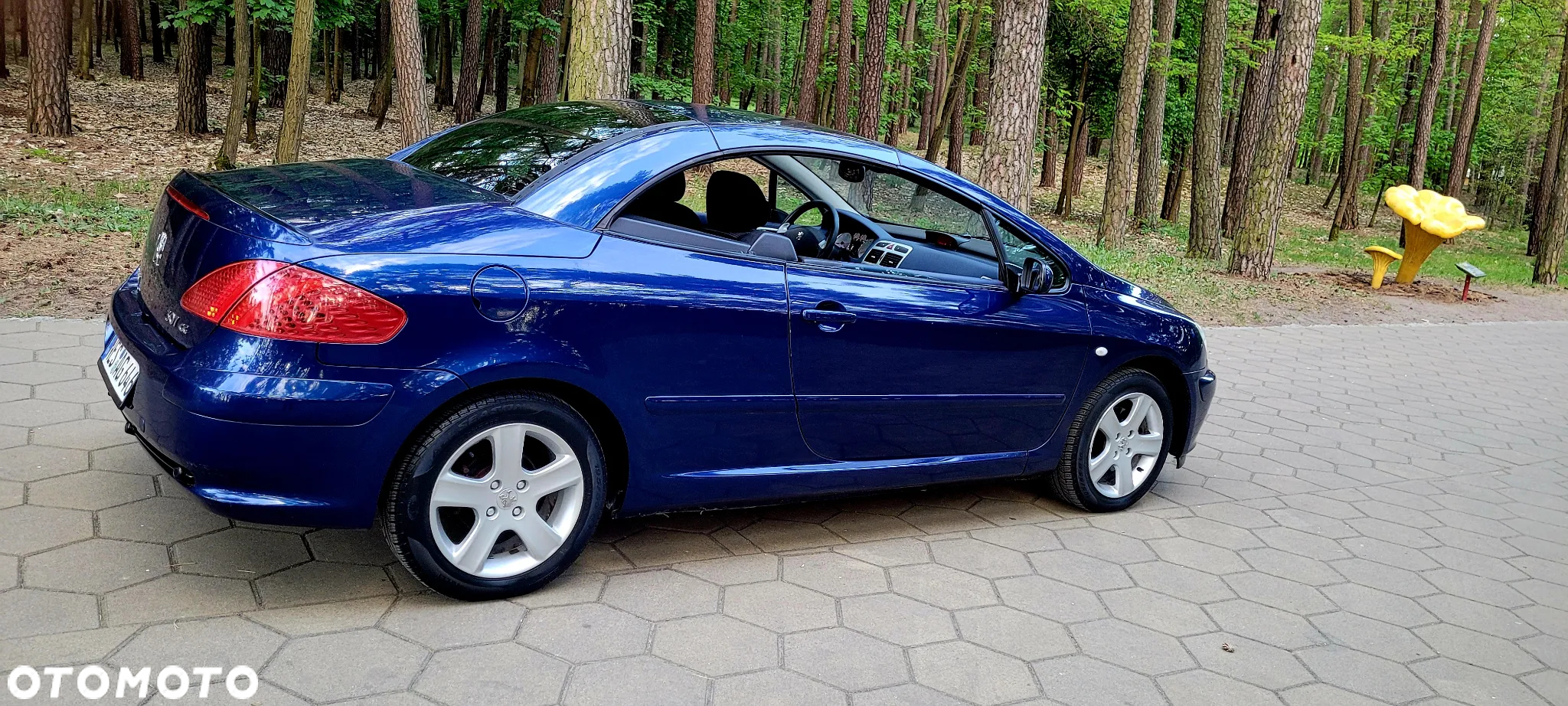 Peugeot 307 135 Sportline - 16