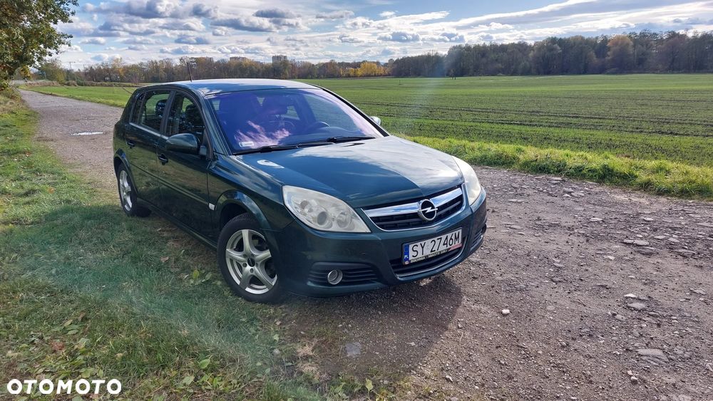 Opel Signum - 10