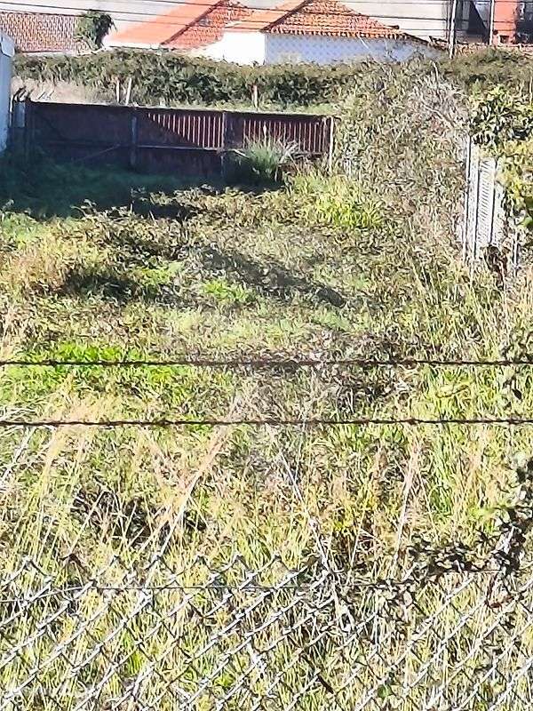 Terreno  para venda - Grande imagem: 5/8