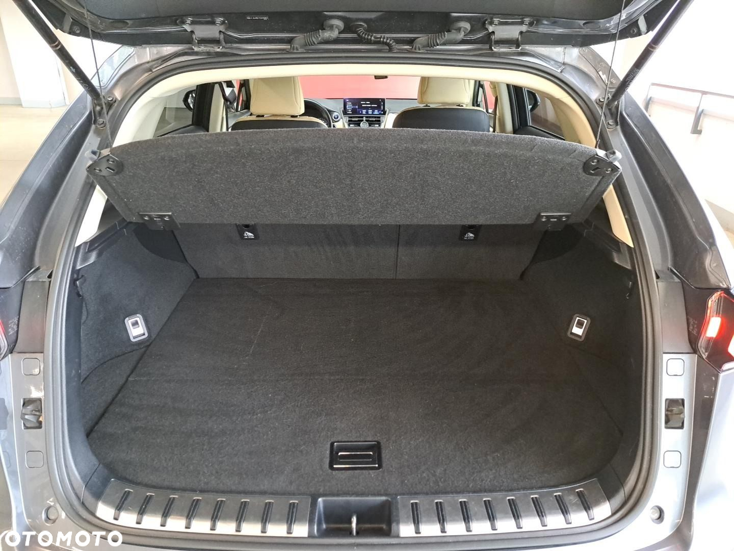 Lexus NX - 12