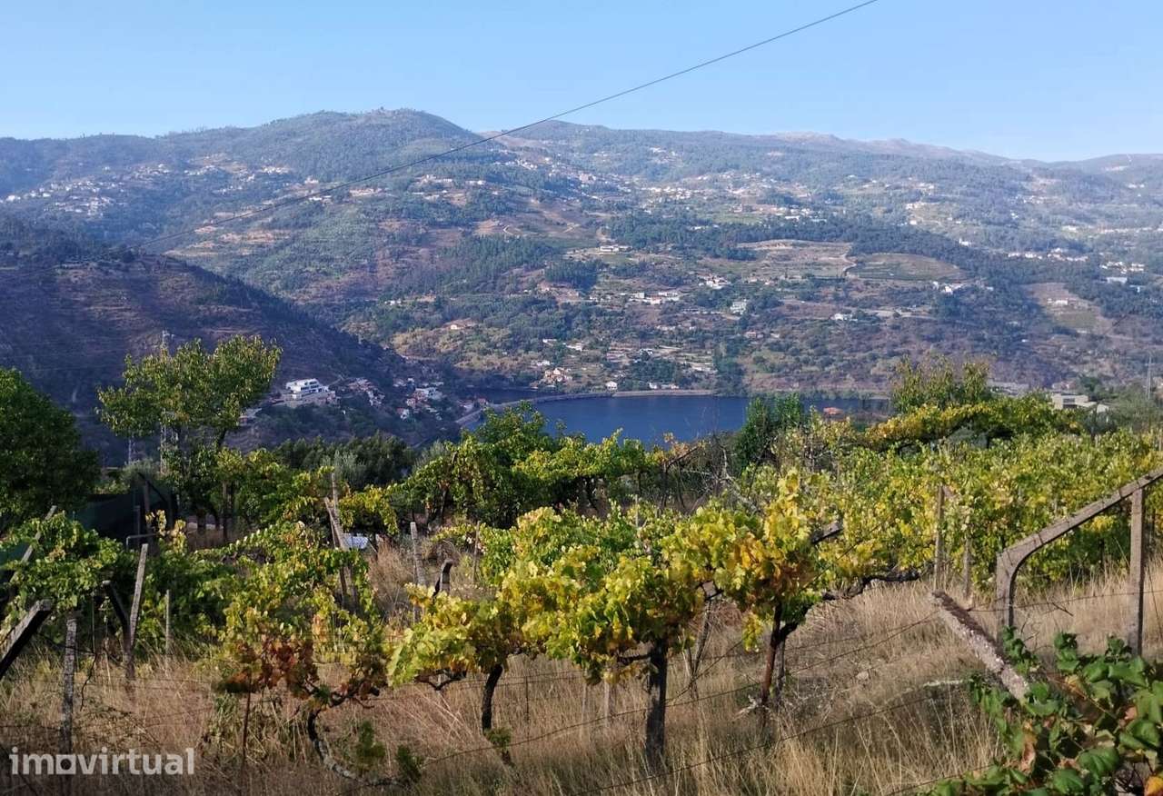 Moradia T3 à venda em Freigil e Miomães, Resende — foto 15