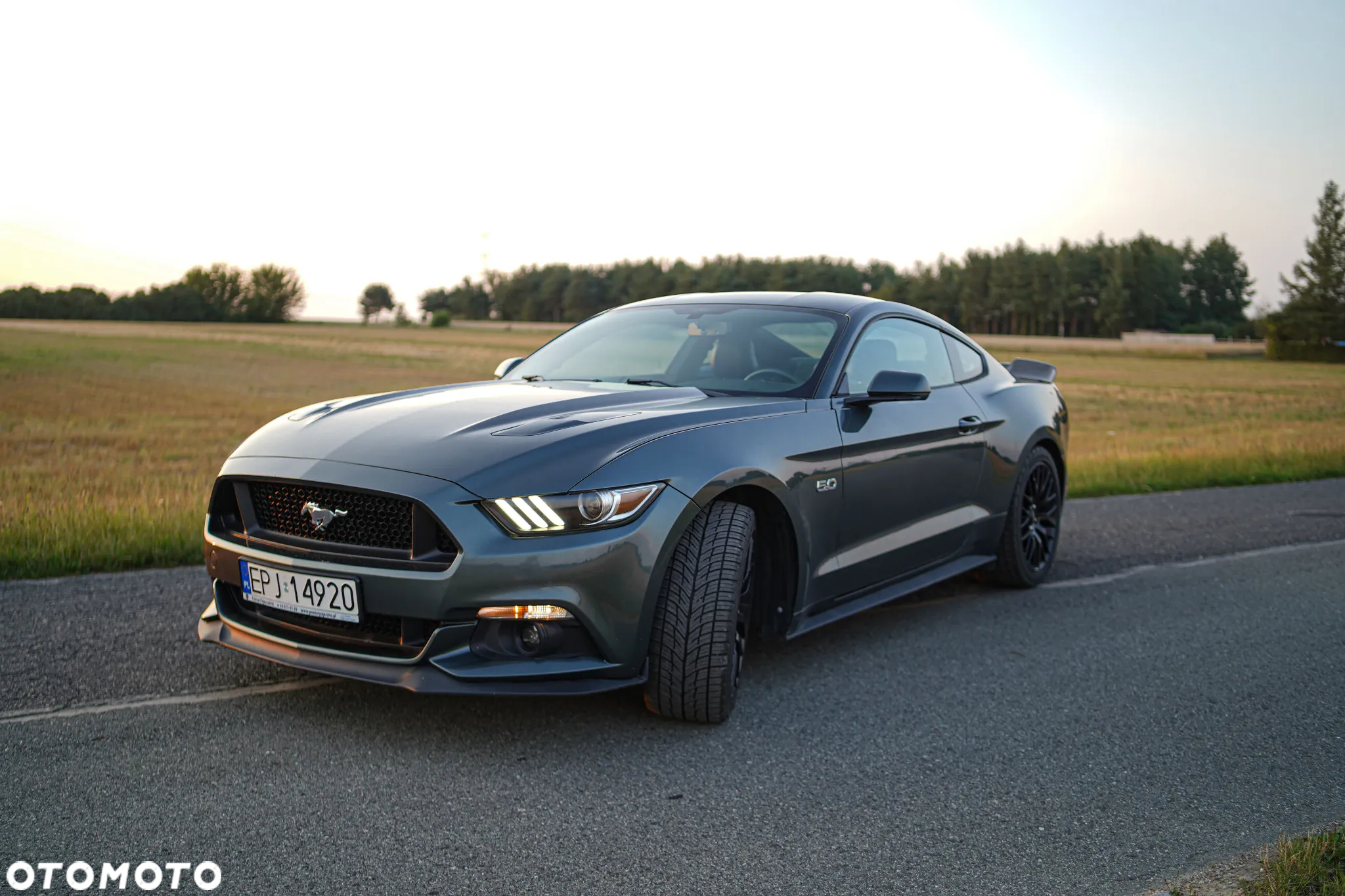 Ford Mustang 5.0 V8 GT - 20