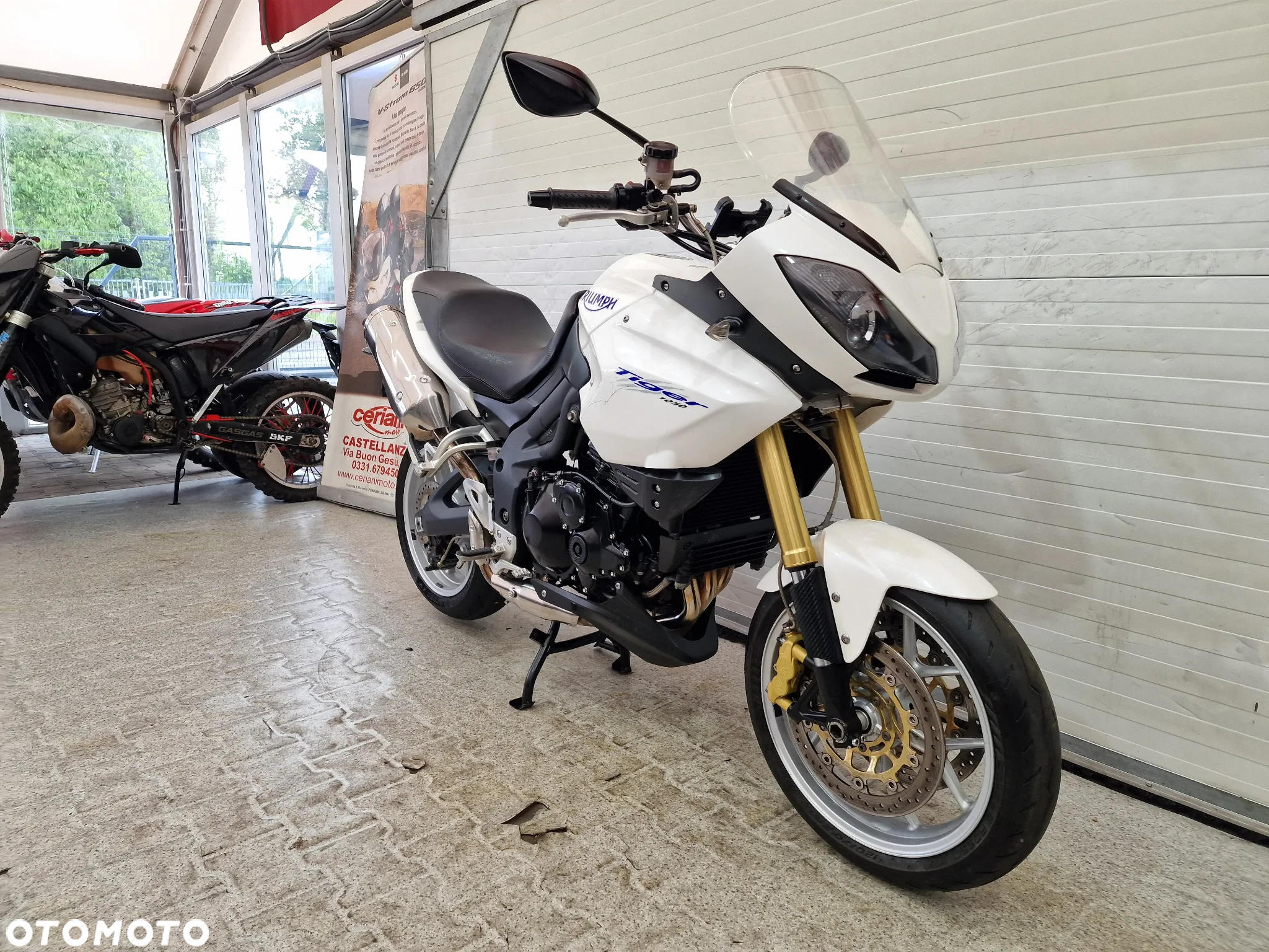 Triumph Tiger - 5