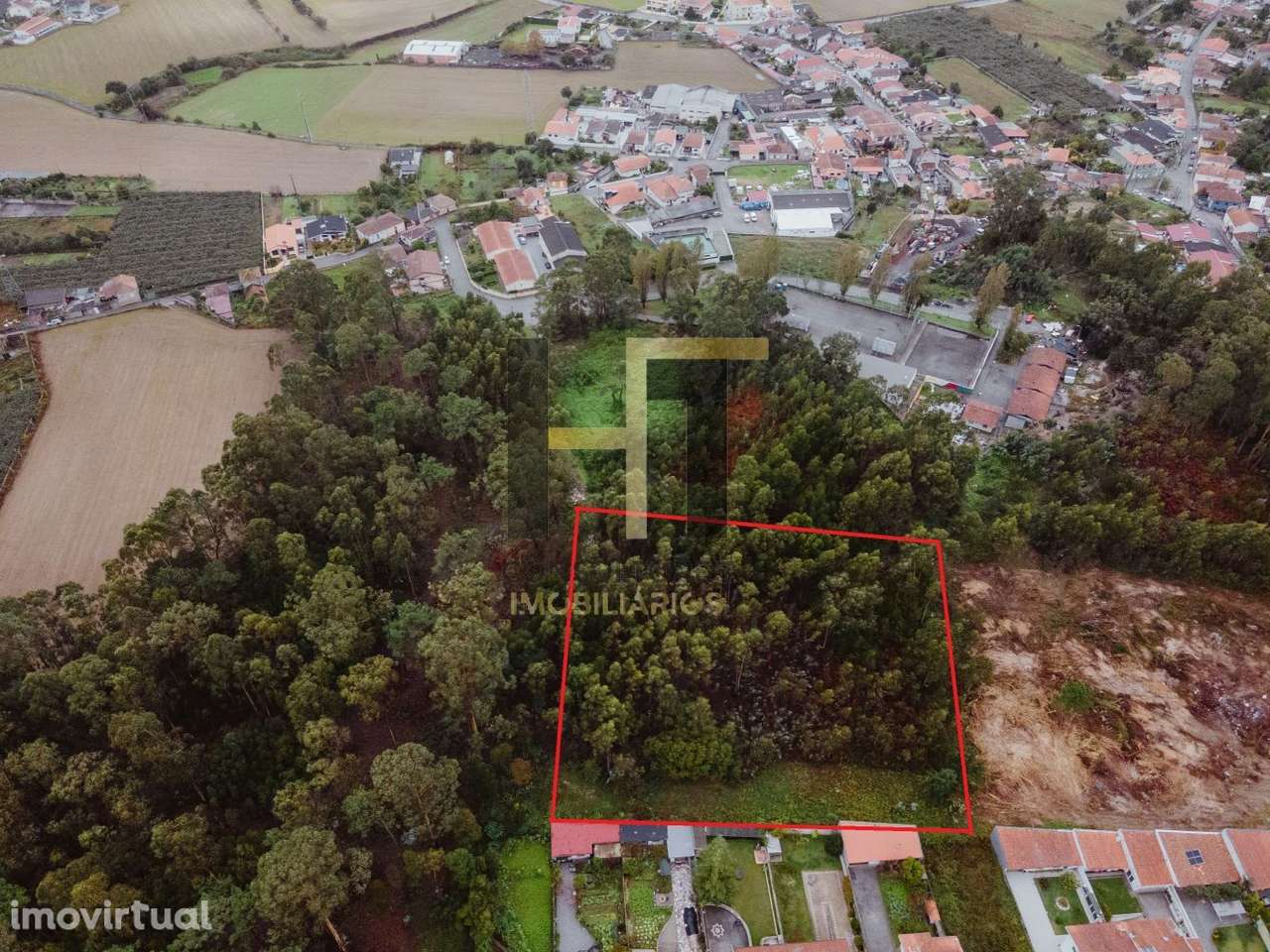 Terreno Rústico | 6.342m² em Gemunde | Oportunidade Única de Invest - Grande imagem: 2/21