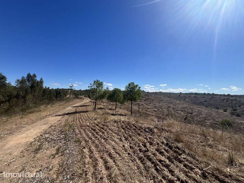 Terreno com 48ha de Natureza com Ruína de 53 m² – Ideal Projeto Rural - Grande imagem: 5/22