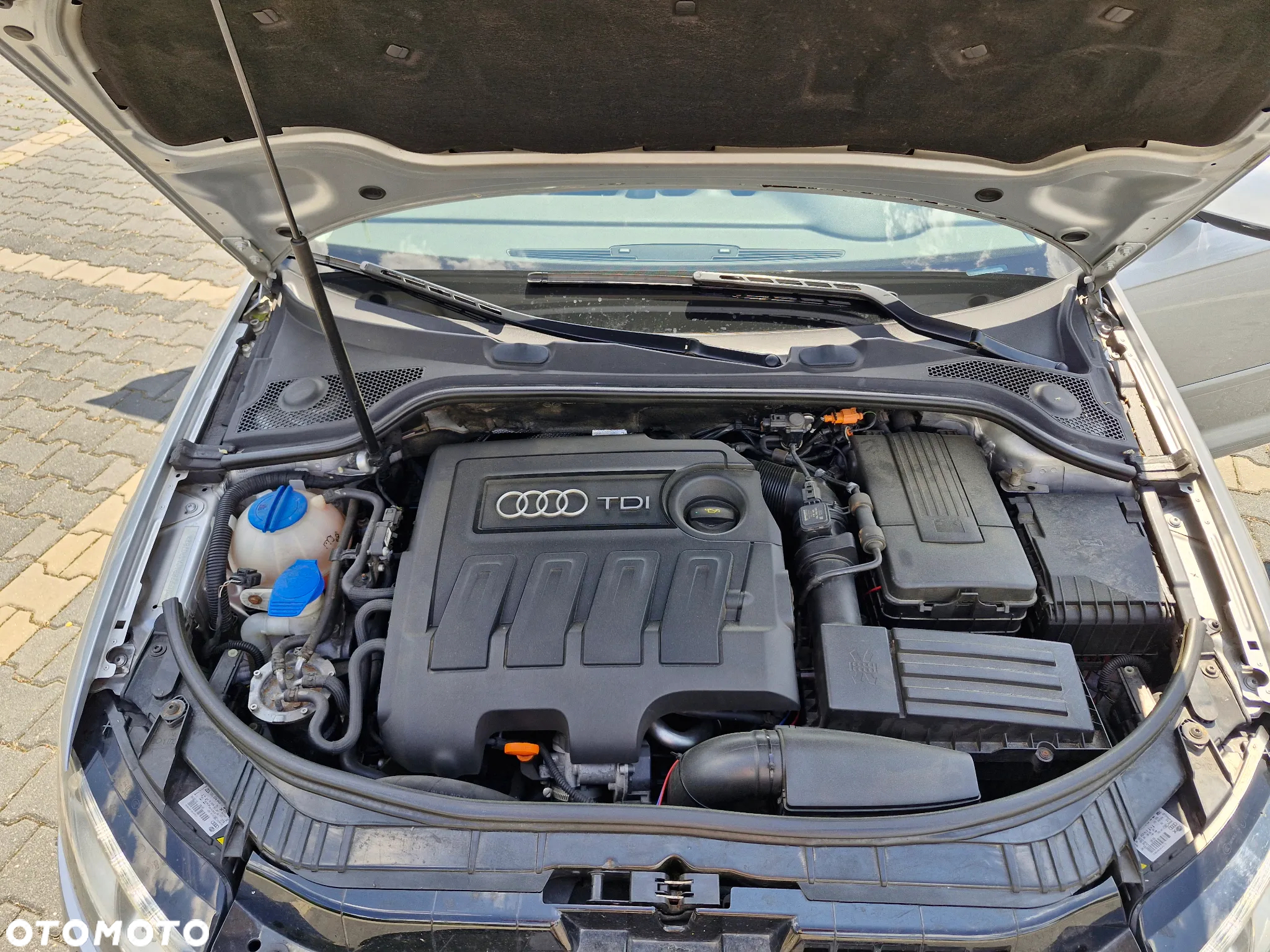 Audi A3 1.6 TDI 102g Sportback DPF - 14