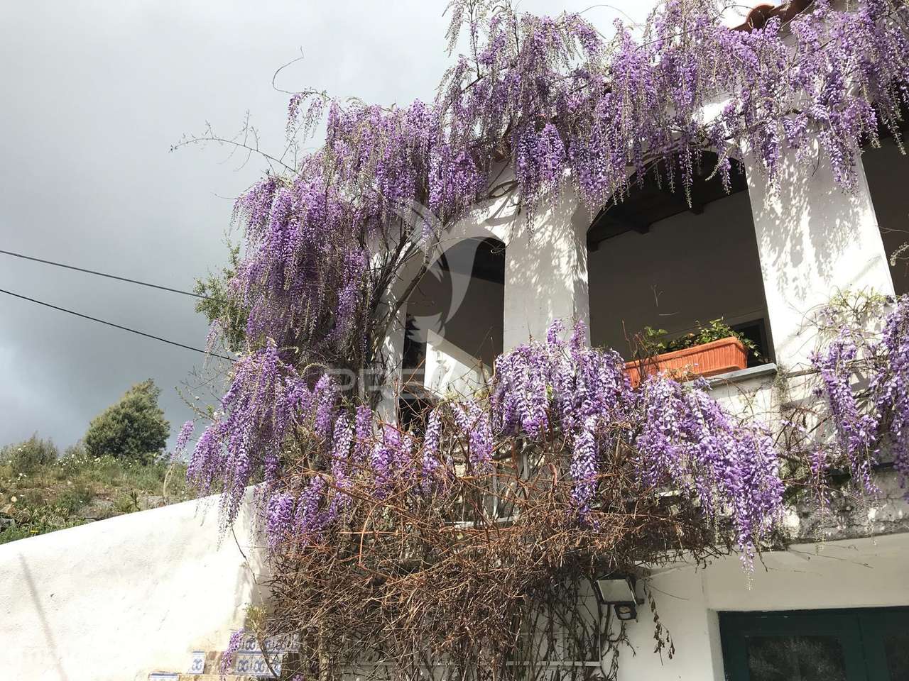 Quinta Rural - Grande imagem: 2/40