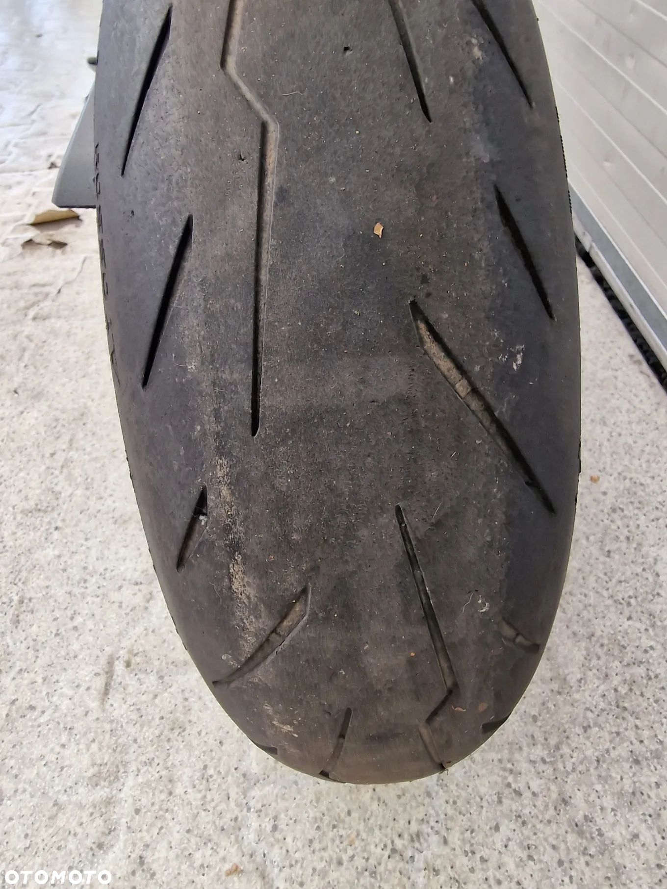Triumph Tiger - 11