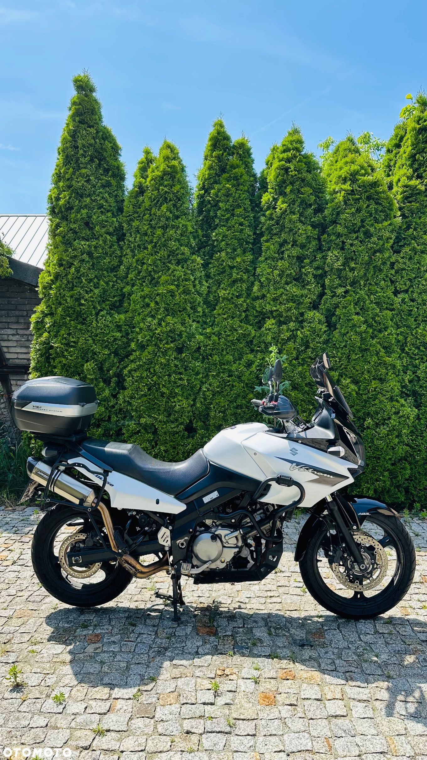 Suzuki DL - 1
