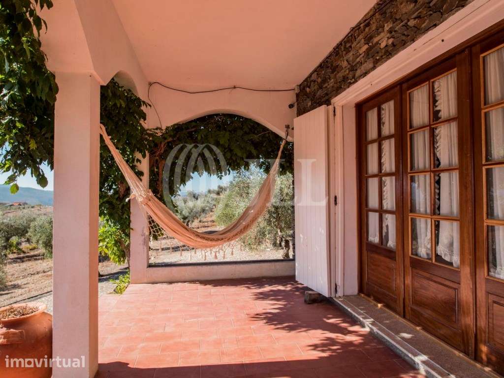 Quinta Meirinhos com 31.094 m2 e piscina, Bragança - Grande imagem: 3/29