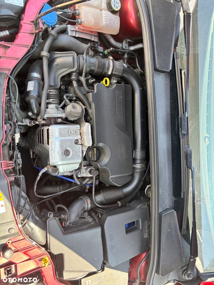 Ford Focus - 16