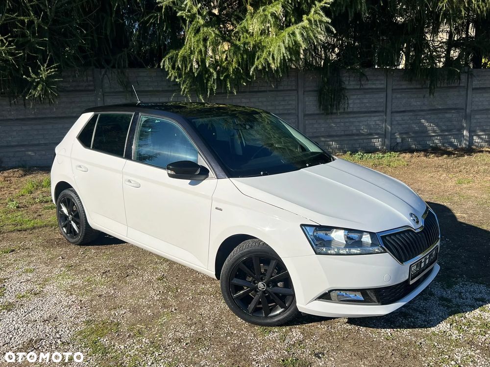 Skoda Fabia 2020 photo 3