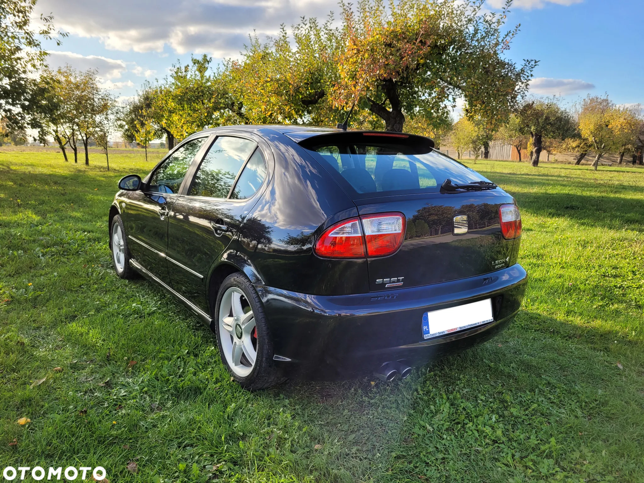 Seat Leon 1.8T Top Sport 4x4 - 9