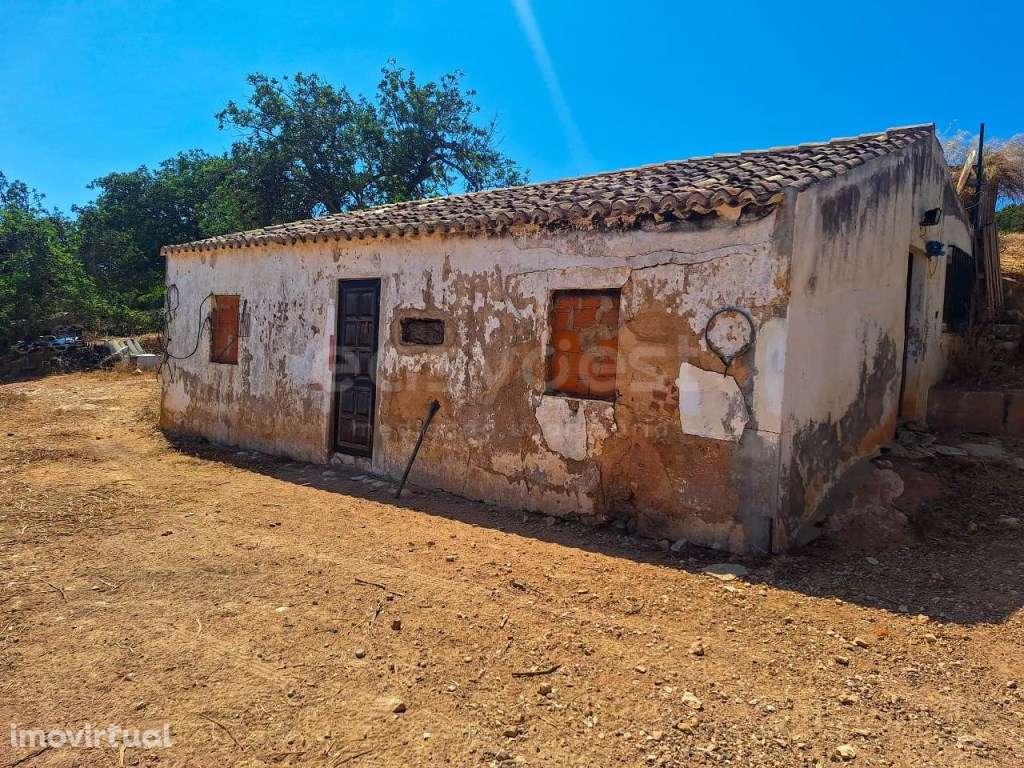 Terreno Misto com 3.680ha e capacidade de construir até 2.000m2, co... - Grande imagem: 4/16