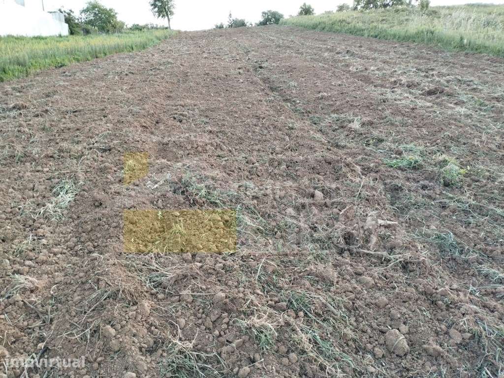 Terreno Rústico com 2.560m2 situado na Carvoeira e Carmões- Torres ... - Grande imagem: 2/7