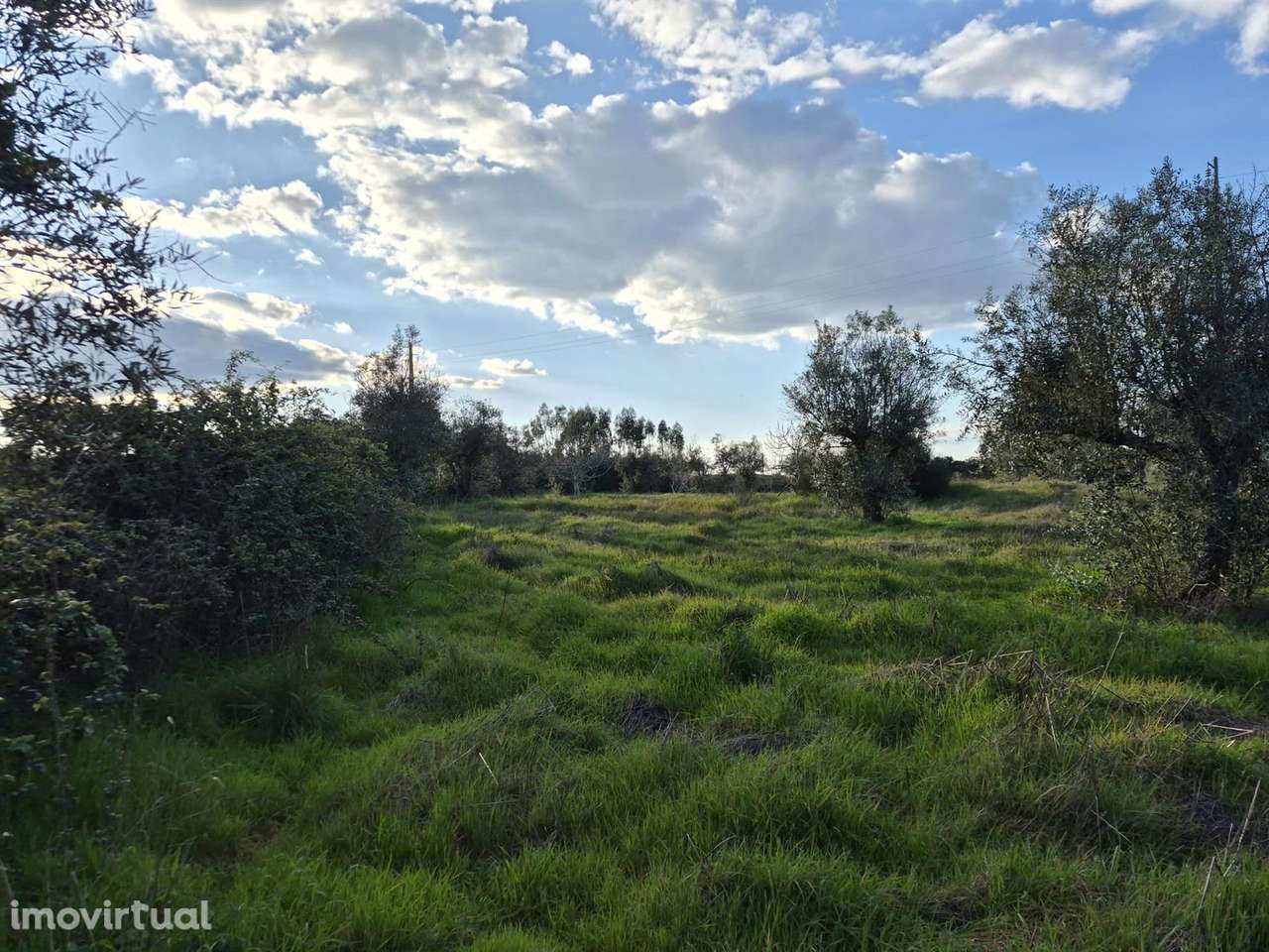 Terreno - Grande imagem: 4/7