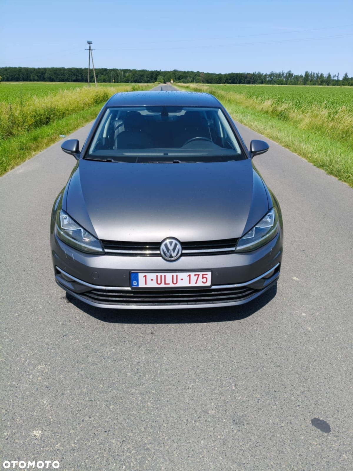 Volkswagen Golf VII 1.6 TDI BMT Comfortline - 28