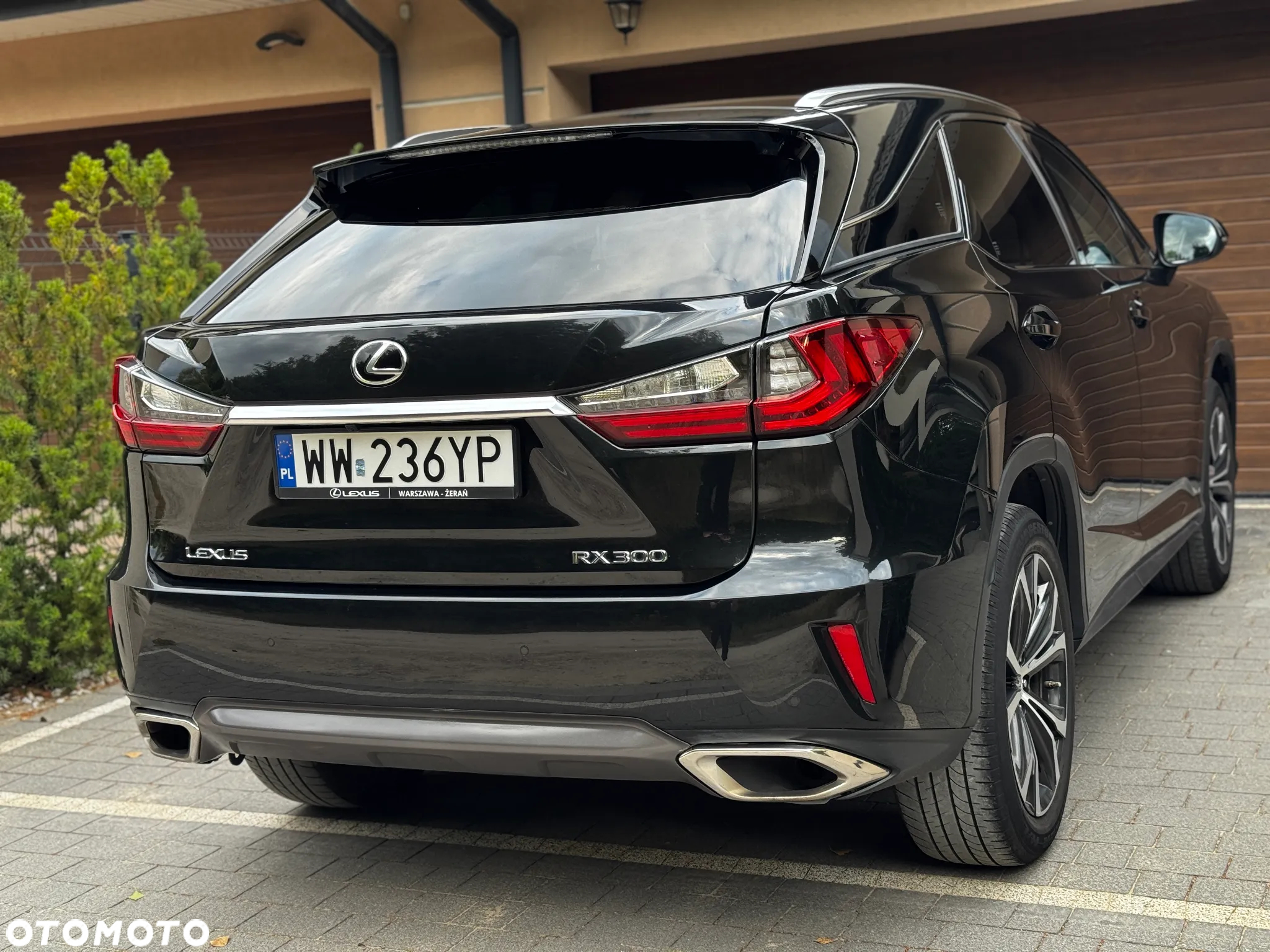 Lexus RX - 9