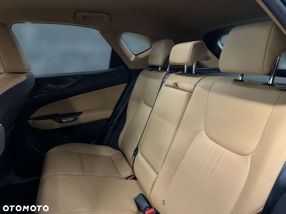 Lexus NX - 13