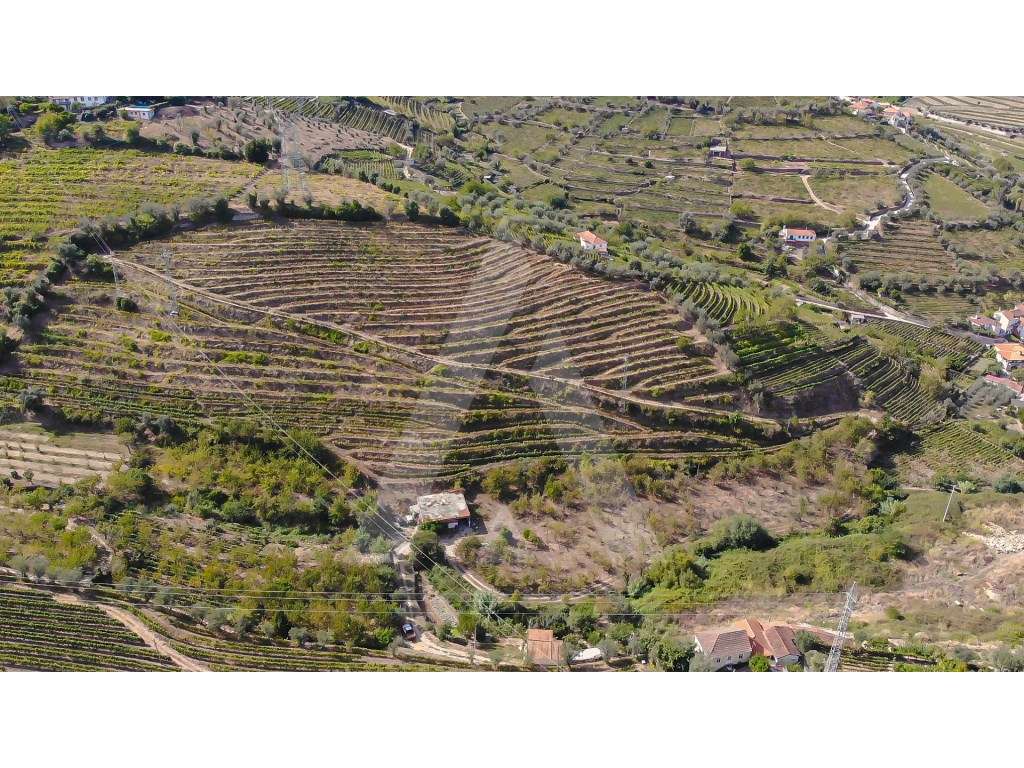 Quinta no Alto Douro - Região Demarcada do Douro - Grande imagem: 2/15