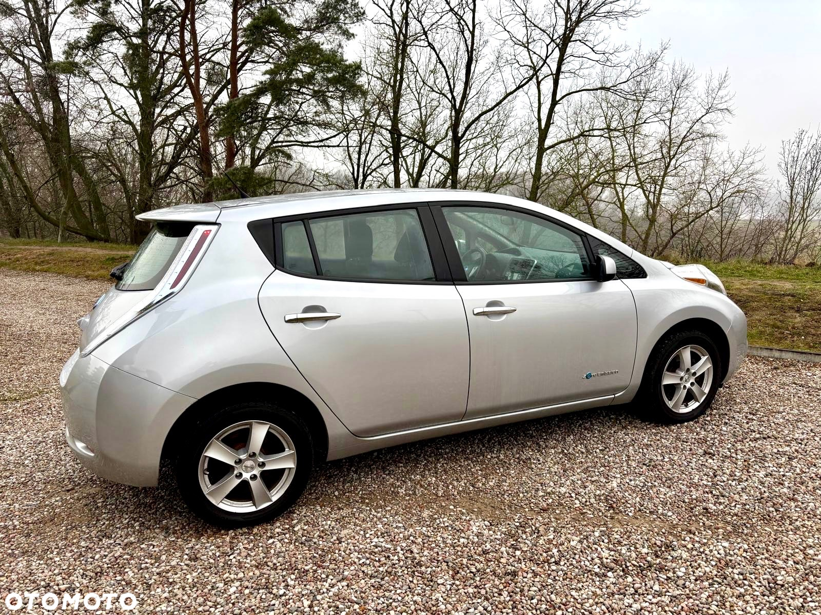 Nissan Leaf - 15
