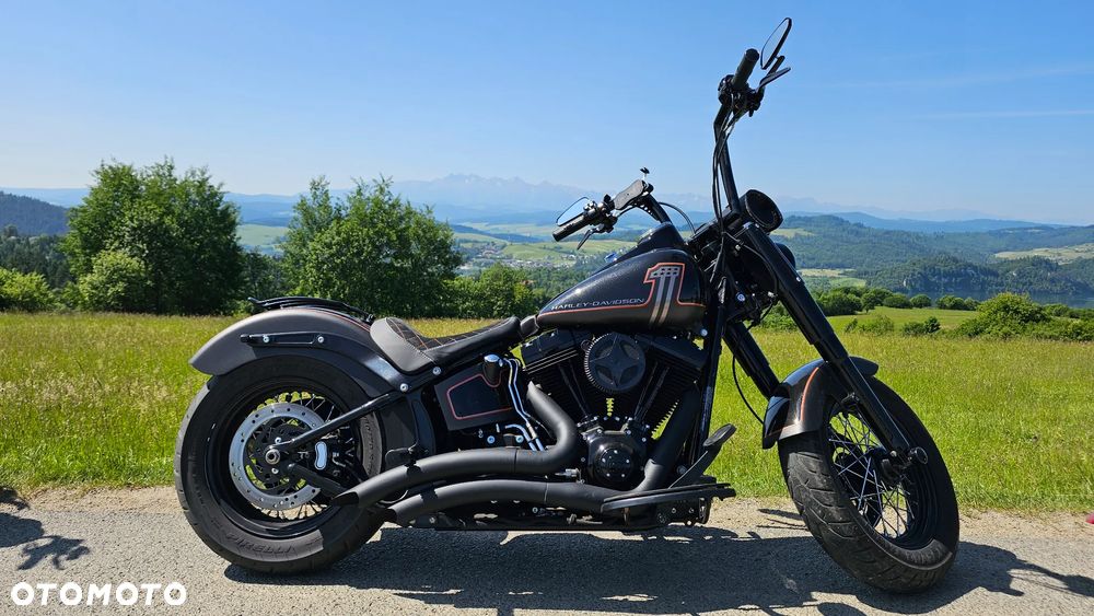 Harley-Davidson Softail Slim - 1