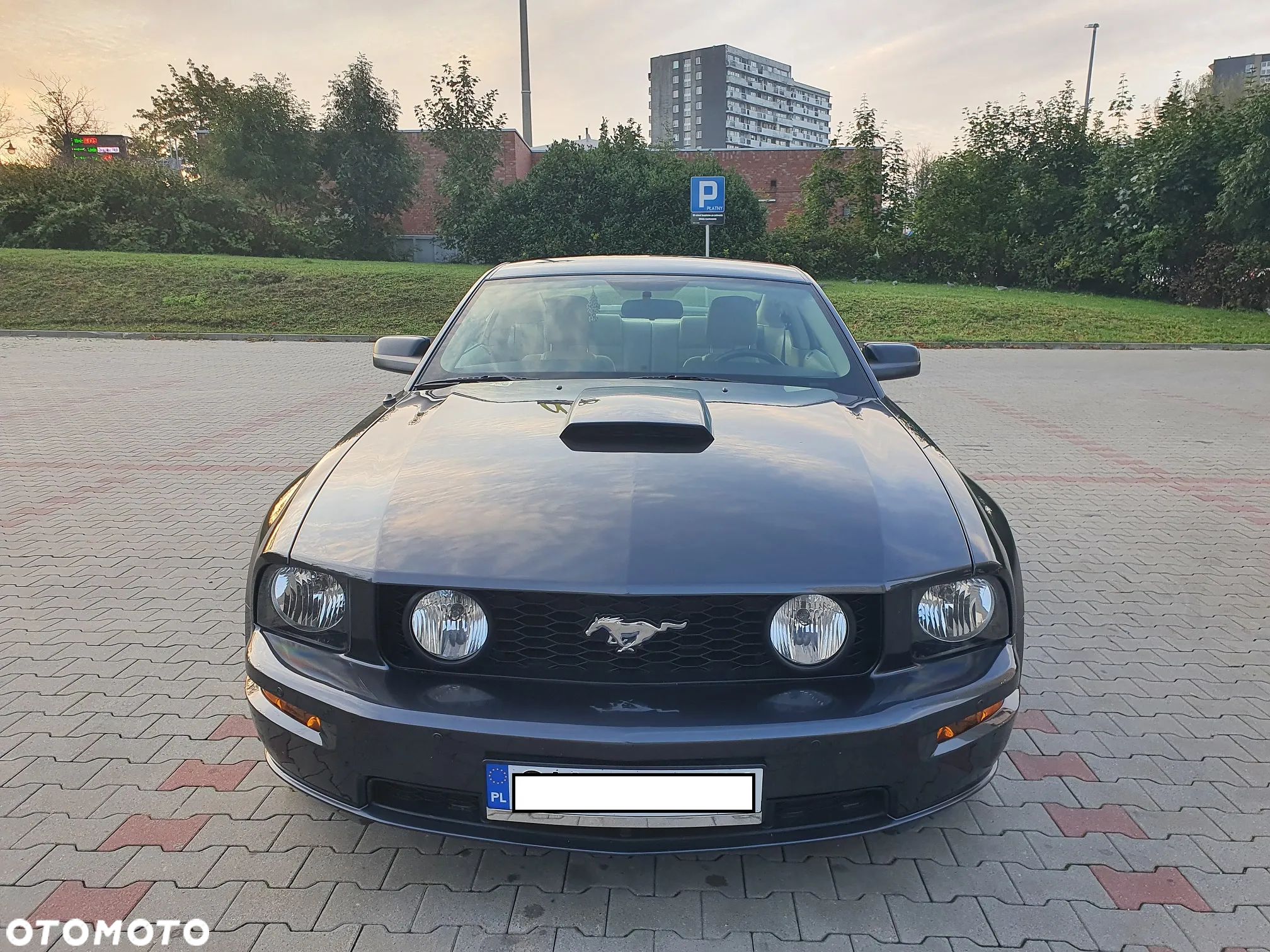 Ford Mustang - 1