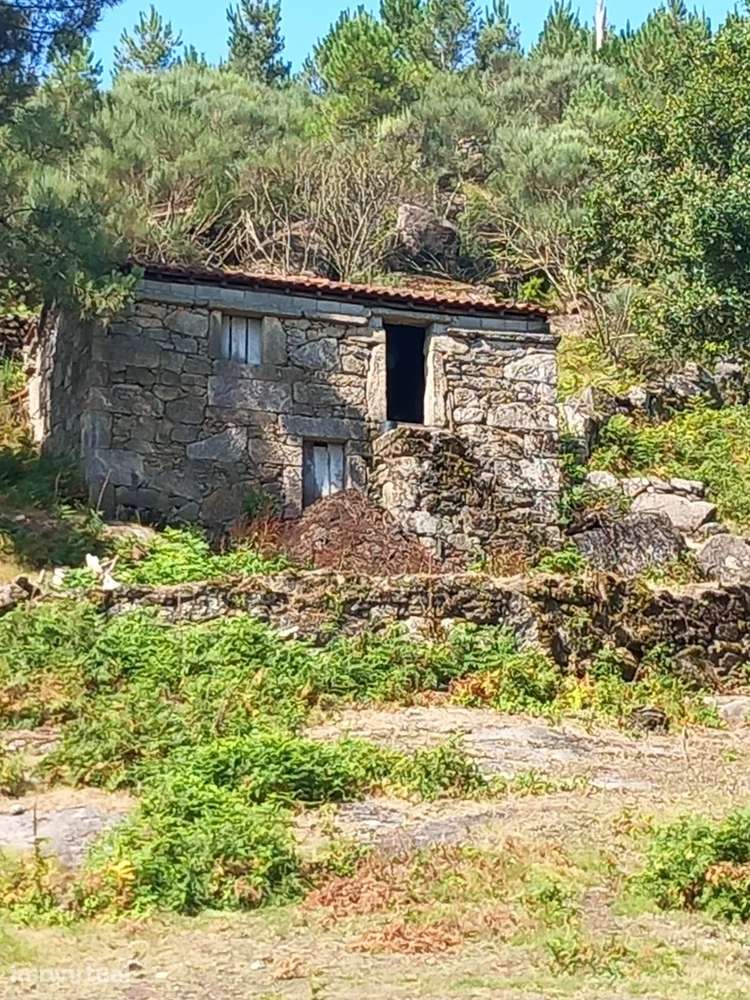 Quinta — Arcos de Valdevez - Grande imagem: 4/34