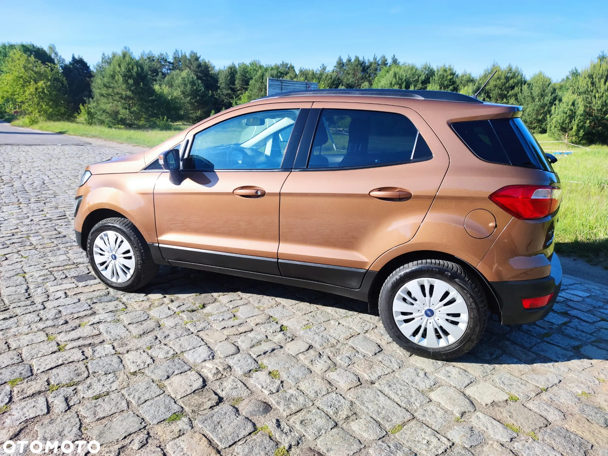Ford EcoSport 1.0 EcoBoost - 15