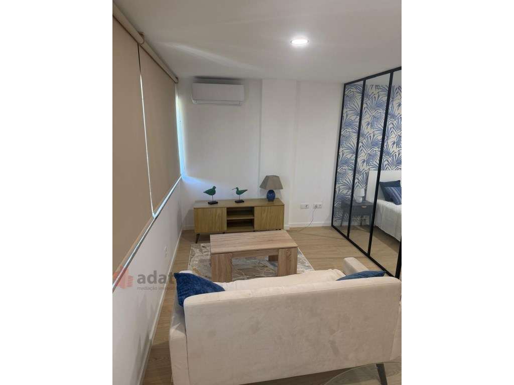 Apartamento T1 Mobilado para Arrendamento - Avenida Fernão de Magal... - Grande imagem: 2/13
